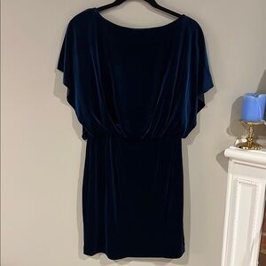 Elegant Navy Blue Velvet Dress